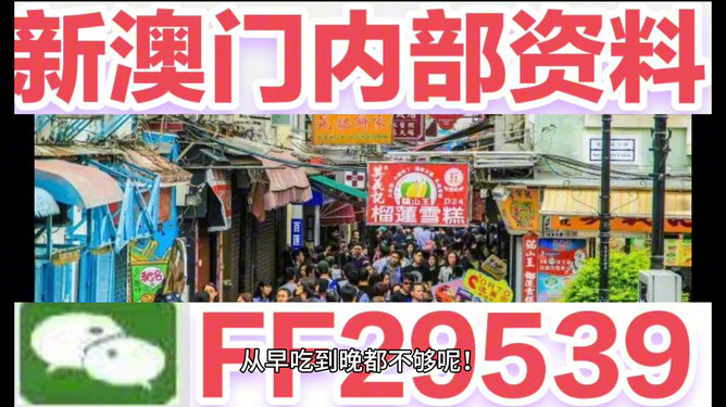 澳门特马，全面释义、全面解答解释落实